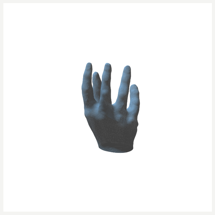Hand Sculpture