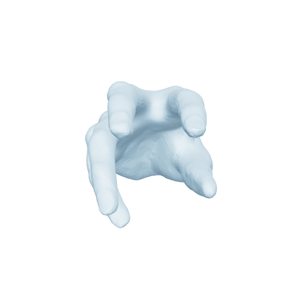 Hand Sculpture