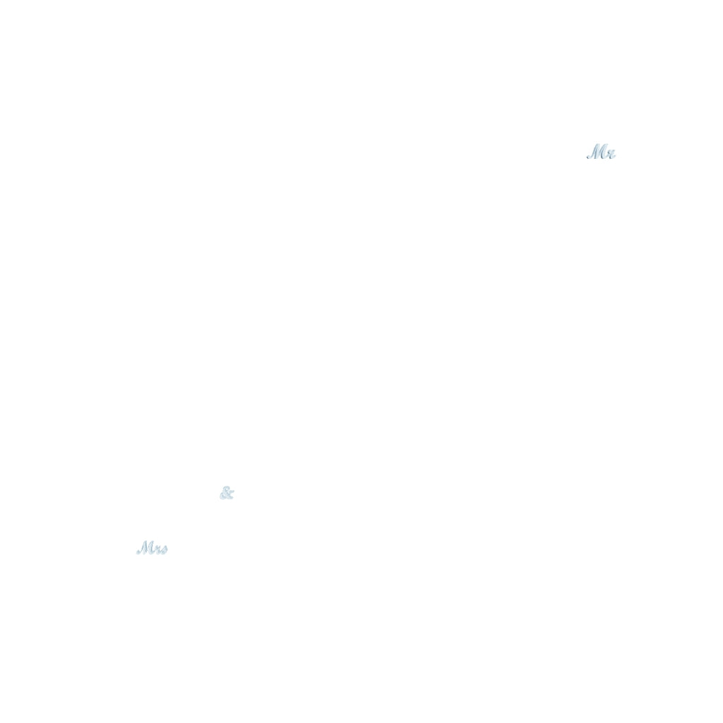 Mr and Mrs Cake Topper