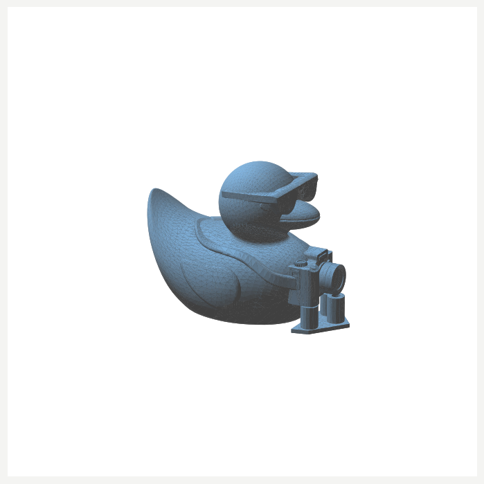 Tourist Duck